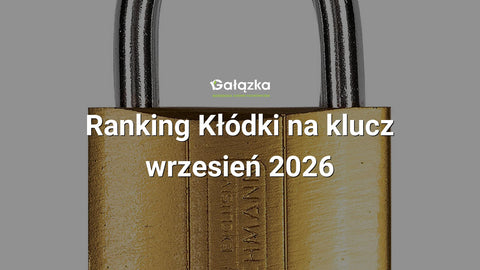 Ranking Kłódki na klucz - wrzesień 2026 w Gałązka24.pl. Zdjęcie produktu: Kłódka zatrzaskowa stalowa złota 40 | C9320