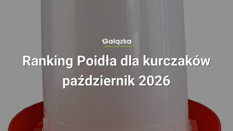 Ranking Poidła dla kurczaków - październik 2026 w Gałązka24.pl. Zdjęcie produktu: Poidło dla drobiu 14l zakręcane z nóżkami | 04-0244