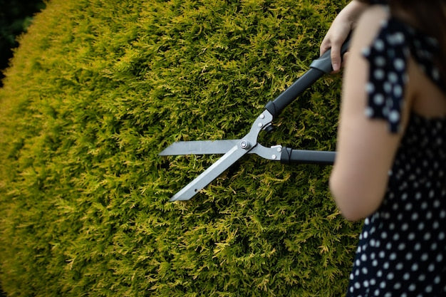 Jakie ręczne nożyce do żywopłotu sprawdzą się najlepiej w małym ogrodzie?