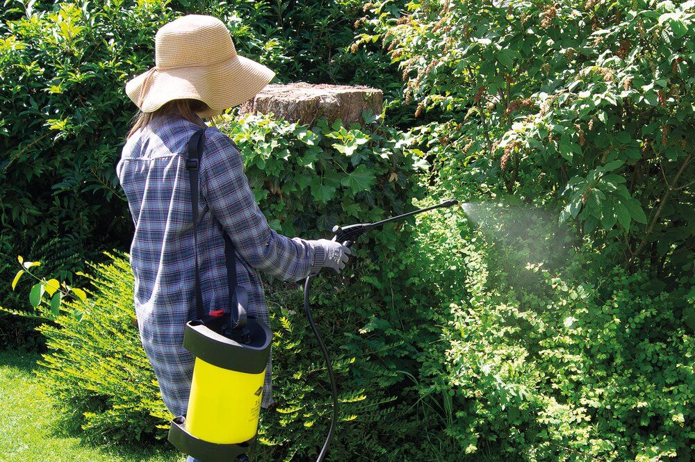 Opryskiwacz ciśnieniowy 3L Hobby | 3230R