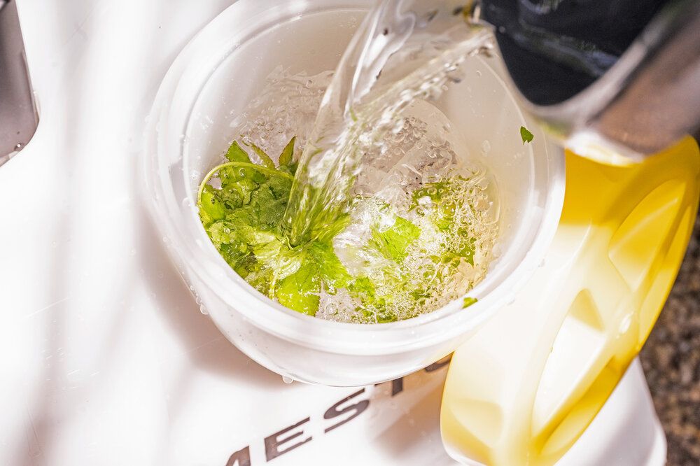 Opryskiwacz plecakowy 12L 6bar | 3552