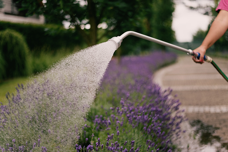 Lanca PROFI 60cm | GKIWB60R - Centrum Techniczne Gałązka