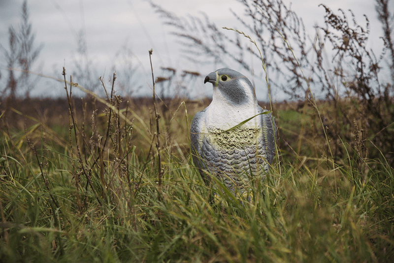 Odstraszacz ptaków 17 /17.5 /41 cm Sokół | CTRL-BR103