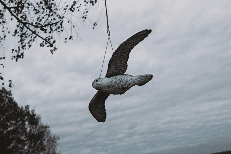 Odstraszacz ptaków 54 / 35 / 8 cm Sokół w locie | CTRL-BR104