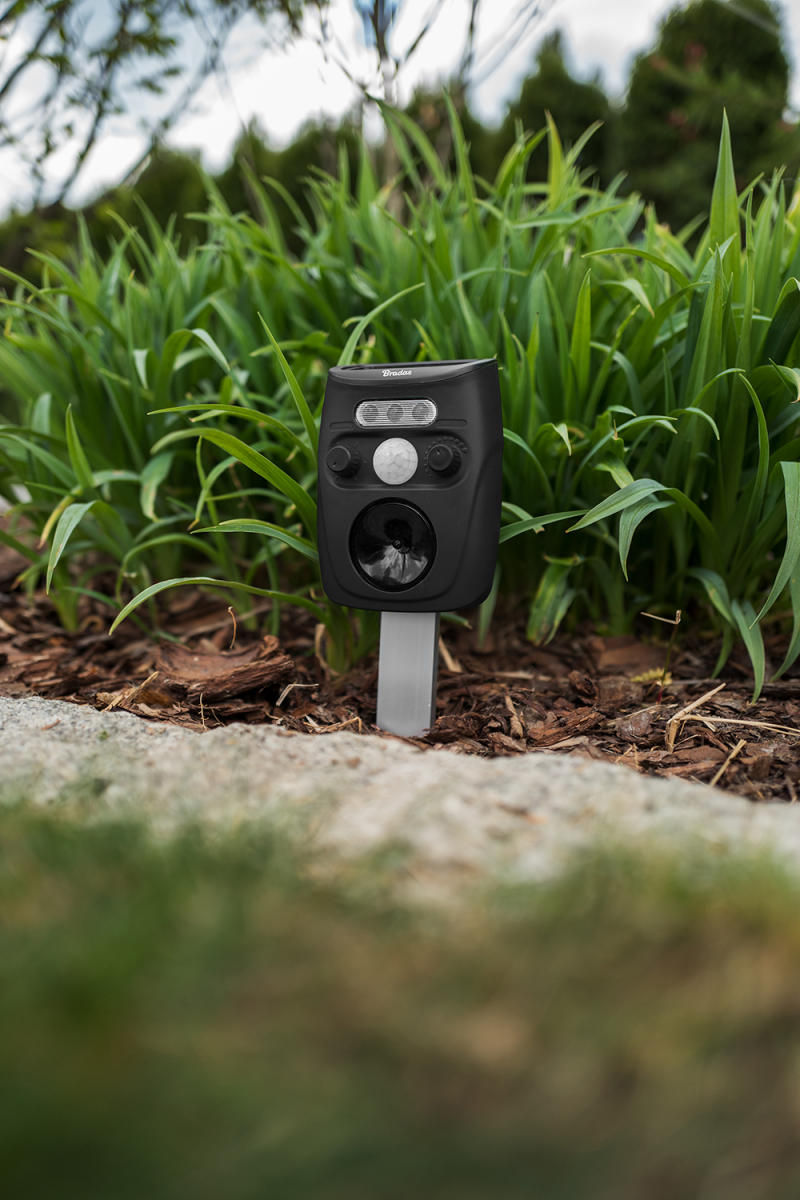 Solarny odstraszacz zwierząt - 5 funkcyjny | CTRL-AN101S