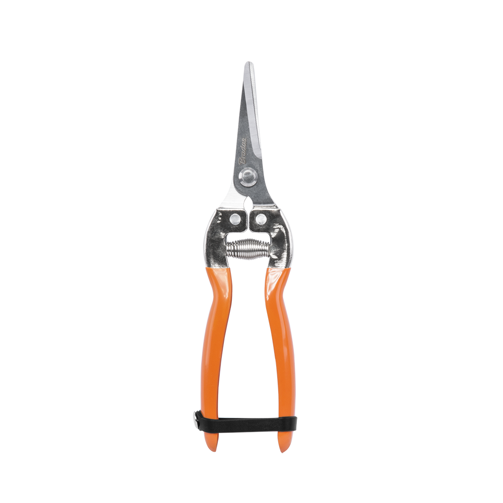 Sekator prosty V-SERIES-P ostrze mijające, stal SS | KT-V1020 - Centrum Techniczne Gałązka