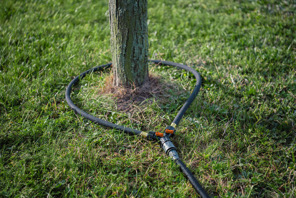 Pierścień nawadniający AQUA DROP 1/2" 1,5 m do równomiernego podlewania roślin w ogrodzie lub na tarasie | WADC1/215