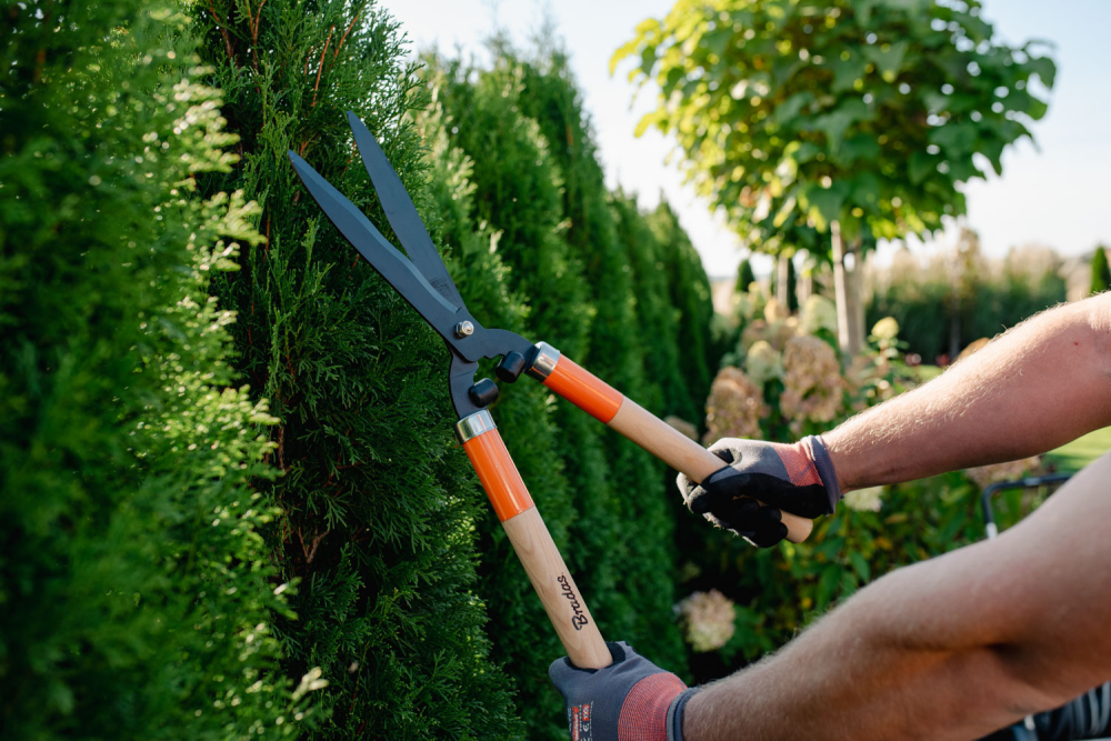 Nożyce do żywopłotu V-SERIES WOOD-P, wygodne i precyzyjne do cięcia gałęzi i krzewów | KT-V1115