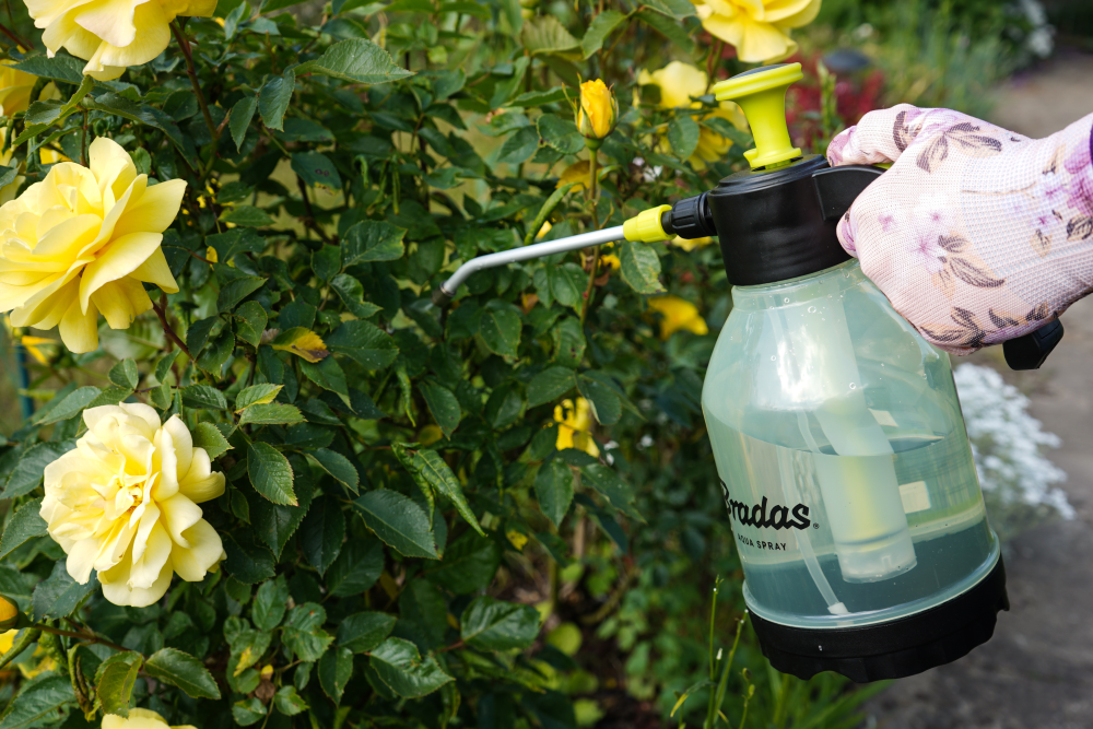 Opryskiwacz ciśnieniowy AQUA SPRAY CLEAR 2 L do podlewania i ochrony roślin w ogrodzie | AS0200CL