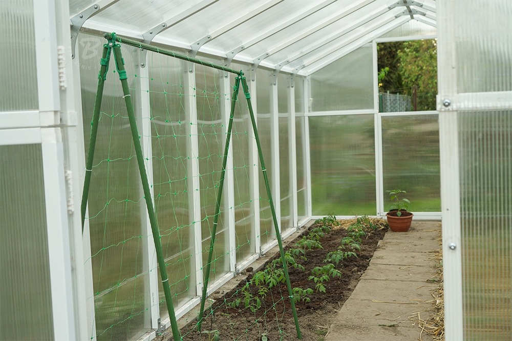 Siatka PLANT NET 8g/ m2 , 15 x 17cm, 2 x 10m | AS-CN08151720010