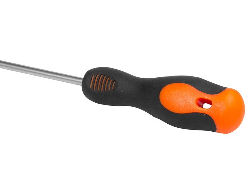 Wkrętak ph 1x100 | C5402 - Centrum Techniczne Gałązka