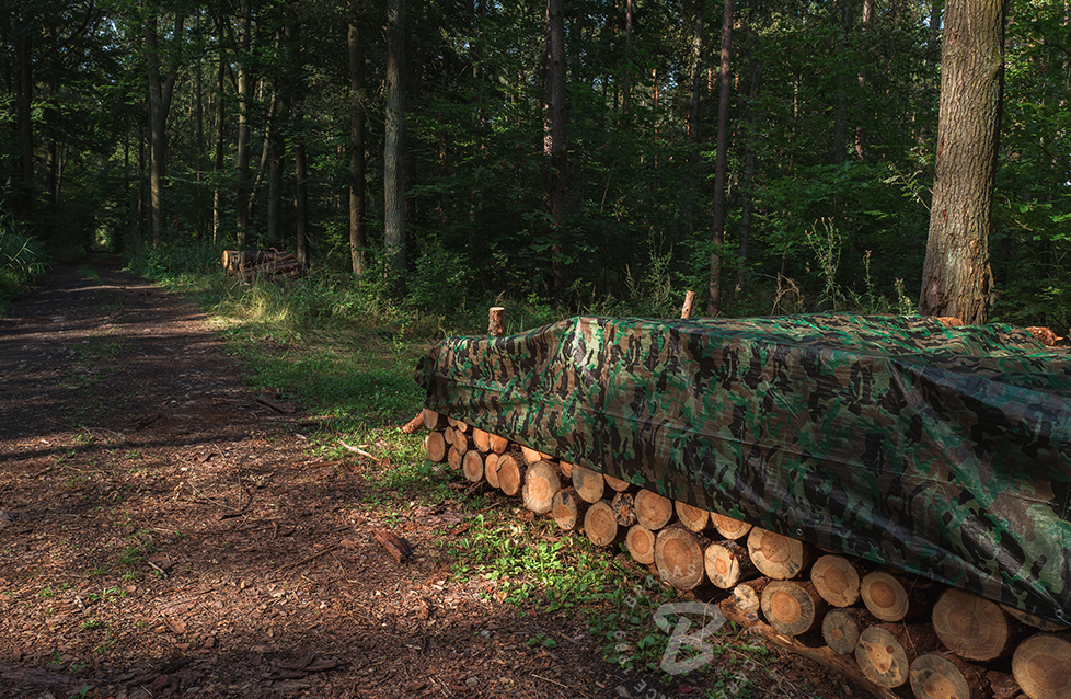 Plandeka kamuflażowa CAMOforest 6 x 12 m 90 g do ochrony i maskowania dużych powierzchni | PLCF908/10