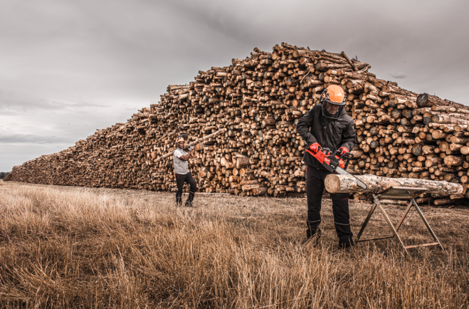 Hełm ochronny pomarańczowy niewentylowany BOLT™ 200 - 1szt. | 4932480657 - Centrum Techniczne Gałązka