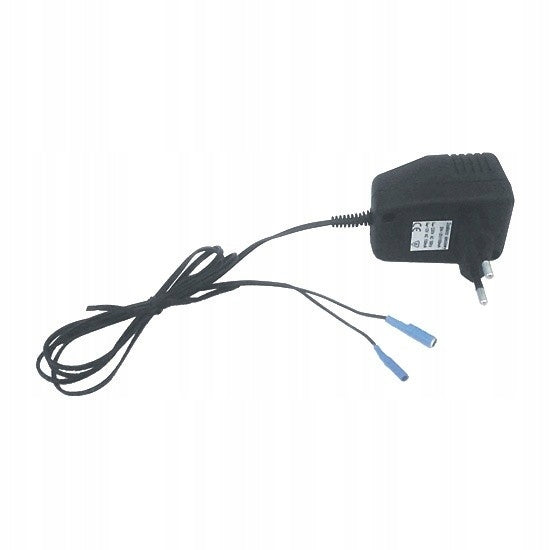 Zasilacz do elektryzatorów akumulatorowo-bateryjnych 12V/100mA | 1050PL
