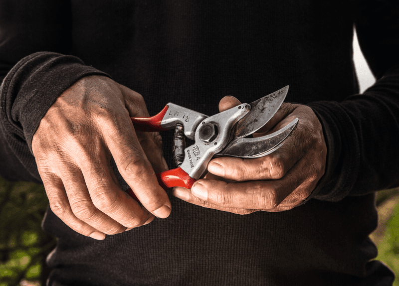 Sekator do przycinania o dużym przełożeniu | 4 - Centrum Techniczne Gałązka