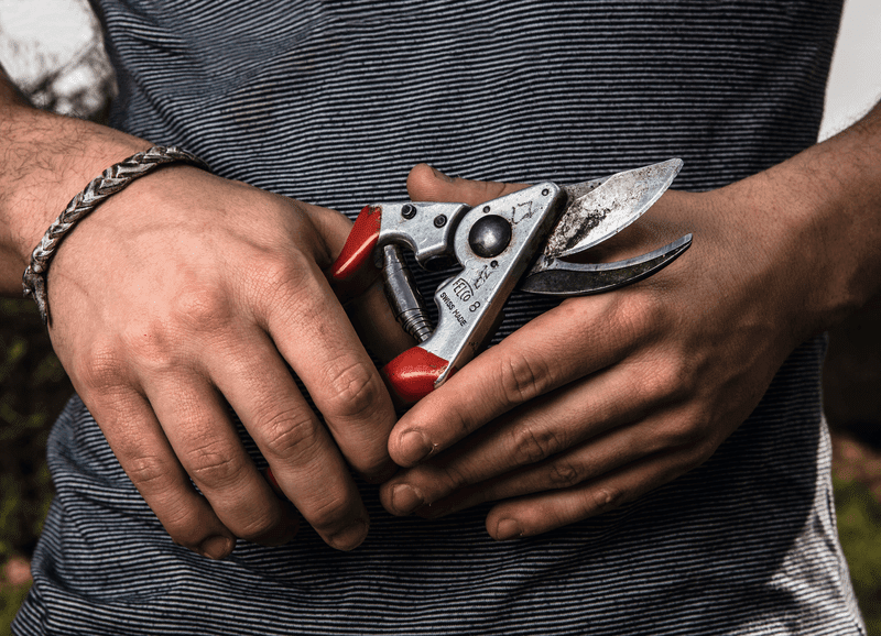 Sekator wydajność-ergonomia do cięż.prac P | 8 - Centrum Techniczne Gałązka