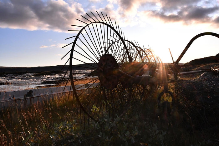 zgrabiarka do słomy