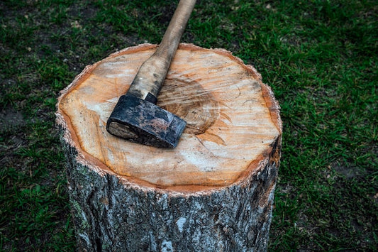 Jaką siekierę wybrać do cięcia korzeni i usuwania pni?
