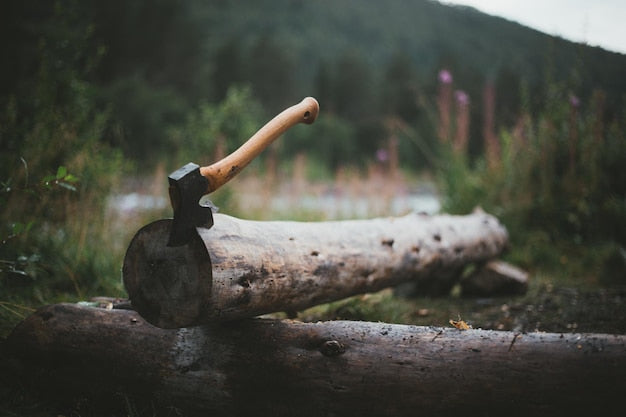 Jak ostrzyć siekierę i dbać o trzonek? Poradnik krok po kroku