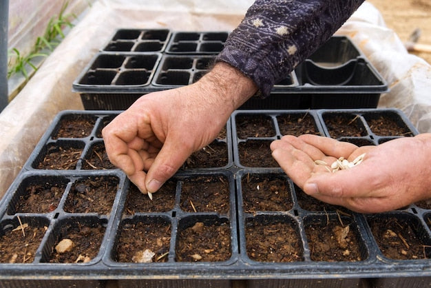 Równomierny wysiew nasion – jak go osiągnąć?