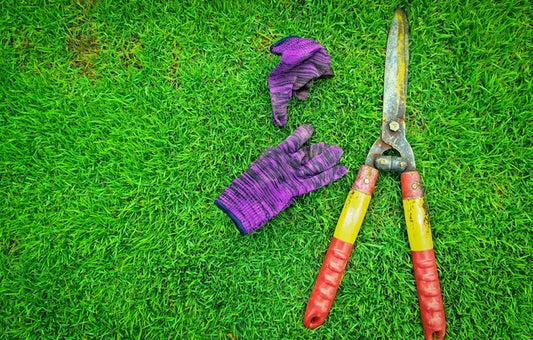 Ręczne nożyce do trawy – kiedy warto je wybrać zamiast elektrycznych?