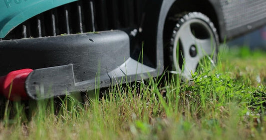 Jaką szerokość koszenia wybrać? Dopasowanie kosiarki do ogrodu