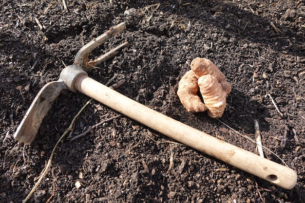 Kilof ogrodowy – zastosowanie przy ciężkiej glebie i korzeniach