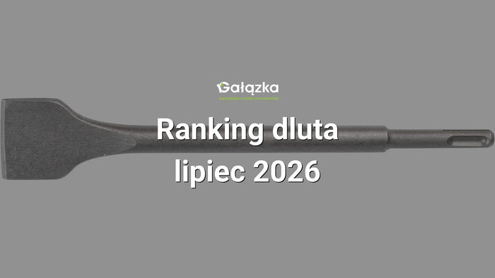 Ranking dluta - lipiec 2026 w Gałązka24.pl. Zdjęcie produktu: Dłuto SDS-Plus przecinak 14x250x40 mm | C5842