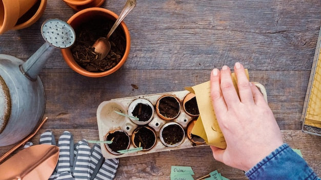 Jakie nasiona najlepiej siać siewnikiem ręcznym?