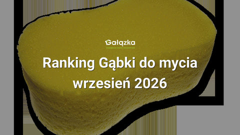 Ranking Gąbki do mycia - wrzesień 2026 w Gałązka24.pl. Zdjęcie produktu: Gąbka do mycia | ES2047