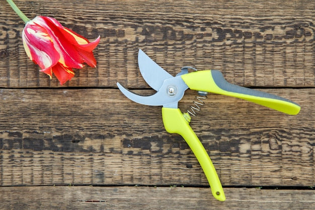 Sekator jednoręczny, dwuręczny, kowadełkowy – który wybrać?