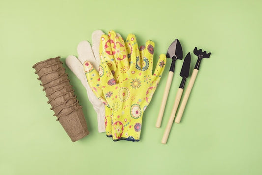 Jak ułatwić sobie sadzenie roślin dzięki prostym narzędziom ręcznym?