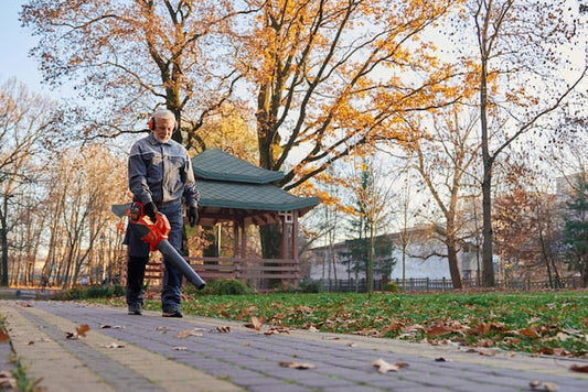Na co zwrócić uwagę przy wyborze odkurzacza ogrodowego?