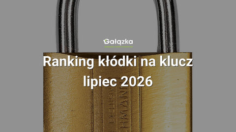 Ranking kłódki na klucz - lipiec 2026 w Gałązka24.pl. Zdjęcie produktu: Kłódka zatrzaskowa stalowa złota 40 | C9320