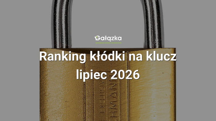 Ranking kłódki na klucz - lipiec 2026 w Gałązka24.pl. Zdjęcie produktu: Kłódka zatrzaskowa stalowa złota 40 | C9320