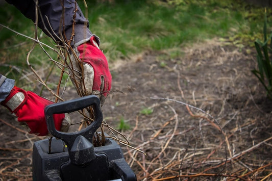 Co można, a czego nie można wrzucać do rozdrabniacza?