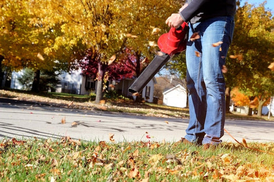 Odkurzacz do liści a dmuchawa – co lepiej sprawdzi się jesienią?