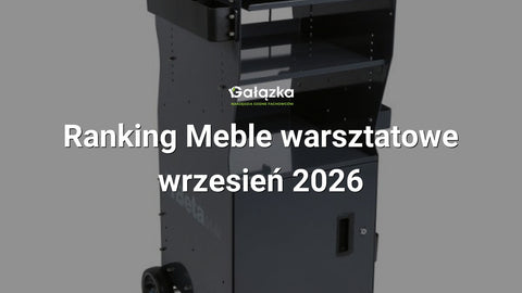 Ranking Meble warsztatowe - wrzesień 2026 w Gałązka24.pl. Zdjęcie produktu: Wózek diagnostyczny wielofunkcyjny mobilna stacja robocza z drzwiczkami | 4900/CA49G