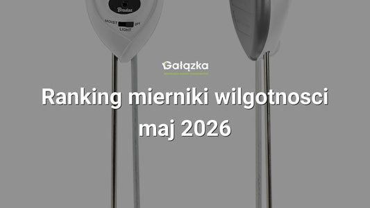Ranking mierniki wilgotnosci - maj 2026 w Gałązka24.pl. Zdjęcie produktu: WHITE LINE miernik kwasowości i wilgotności gleby, 3 funkcyjny - OVAL | WL-M12