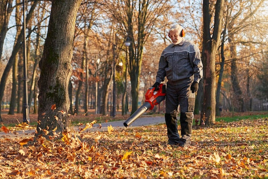 Jaka dmuchawa do liści będzie najlepsza do przydomowego ogrodu?