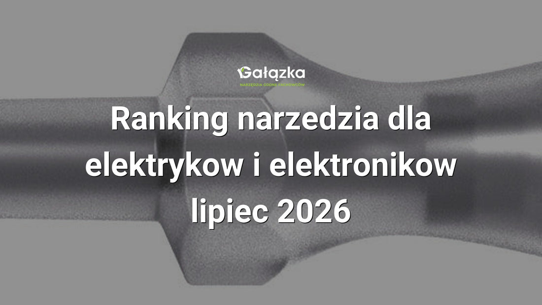 Ranking narzedzia dla elektrykow i elektronikow - lipiec 2026 w Gałązka24.pl. Zdjęcie produktu: Próbnik napięcia 4115 GS 3,0x65mm 150-250V | 05465608001