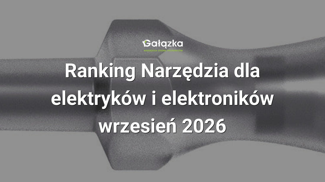 Ranking Narzędzia dla elektryków i elektroników - wrzesień 2026 w Gałązka24.pl. Zdjęcie produktu: Próbnik napięcia 4115 GS 3,0x65mm 150-250V | 05465608001