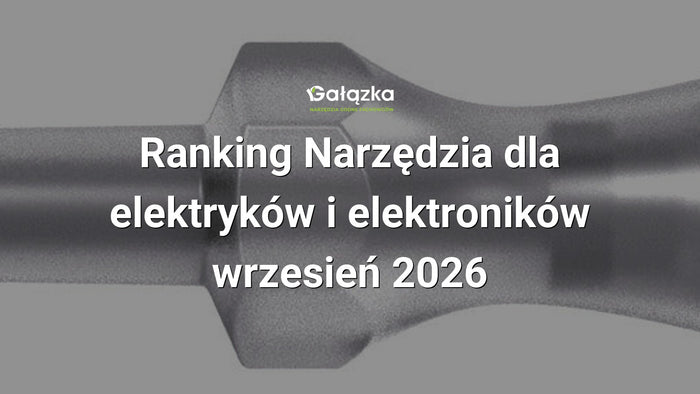 Ranking Narzędzia dla elektryków i elektroników - wrzesień 2026 w Gałązka24.pl. Zdjęcie produktu: Próbnik napięcia 4115 GS 3,0x65mm 150-250V | 05465608001