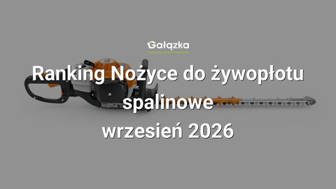 Ranking Nożyce do żywopłotu spalinowe - wrzesień 2026 w Gałązka24.pl. Zdjęcie produktu: Nożyce spalinowe HS 82 R do żywopłotu 600mm | 4237-011-2977