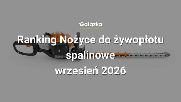Ranking Nożyce do żywopłotu spalinowe - wrzesień 2026 w Gałązka24.pl. Zdjęcie produktu: Nożyce spalinowe HS 82 R do żywopłotu 600mm | 4237-011-2977