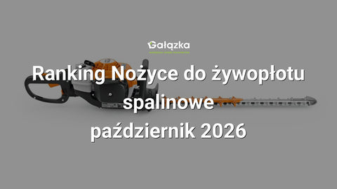 Ranking Nożyce do żywopłotu spalinowe - październik 2026 w Gałązka24.pl. Zdjęcie produktu: Nożyce spalinowe HS 82 R do żywopłotu 600mm | 4237-011-2977