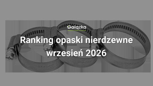 Ranking opaski nierdzewne - wrzesień 2026 w Gałązka24.pl. Zdjęcie produktu: Opaska nierdzewna 20-32mm W4 | BSW4 20-32/12