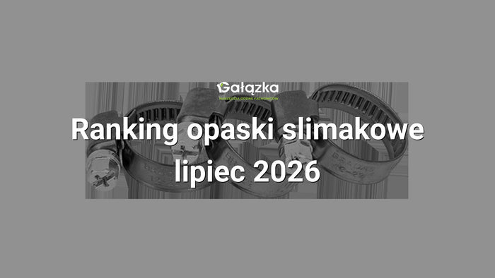 Ranking opaski slimakowe - lipiec 2026 w Gałązka24.pl. Zdjęcie produktu: Opaska ślimakowa nierdzewna 16–27 mm luz | BSW2 16-27/9L