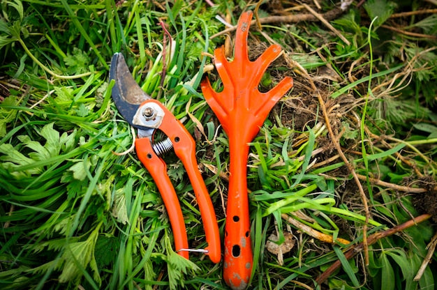 Jak pielęgnować sekator ogrodowy, by służył przez lata?