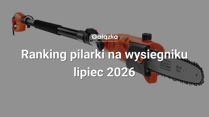 Ranking pilarki na wysiegniku - lipiec 2026 w Gałązka24.pl. Zdjęcie produktu: Pilarka łańcuchowa 800W 25cm na wysięgniku | PS7525Q